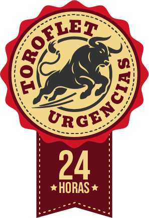 Fletes, Mudanzas y Mensajería de Urgencia